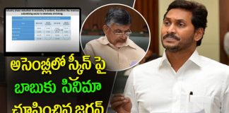 AP CM YS Jagan Shock to Chandrababu Over Power Purchase Agreements in Assembly