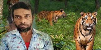 bangladesh police arrests tiger hunter habib