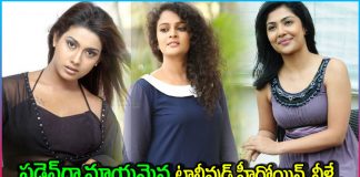 Tollywood Heroines Who Have Disappeared Suddenly