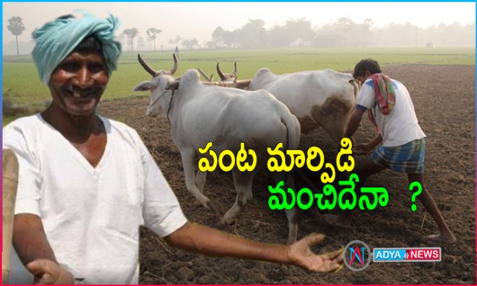 Telangana Farmers are in Confused