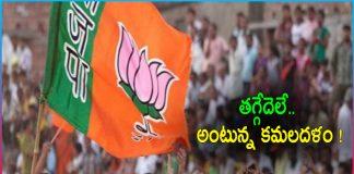 BJP Gears Up Political Strategy in Telangana