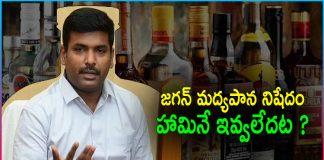 Minister Gudivada Amarnath Comments on Alcohol Prohibition?