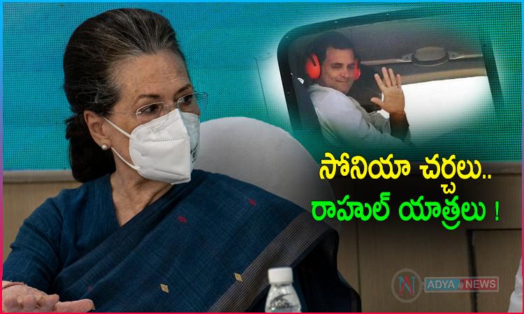 సోనియా ప్రణాళికలు.. రాహుల్ విదేశీ యాత్రలు !