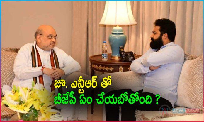BJP Strategies As Jr NTR's Weapon?