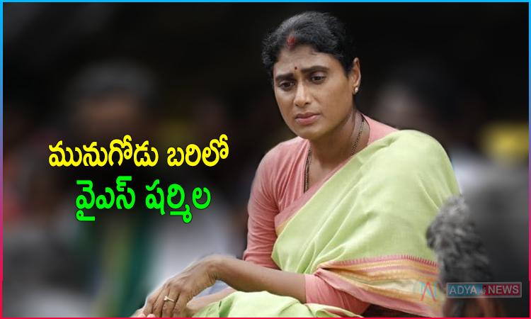 YS Sharmila Special Focus on Munugode By Elections