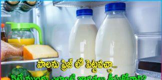 What Precautions Should Be Taken Putting MIlk in The Fridge