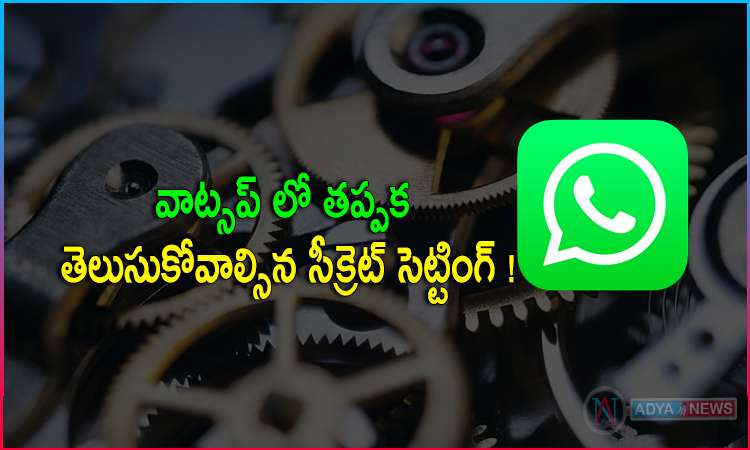 Secret Setting That Must Be Known in WhatsApp!