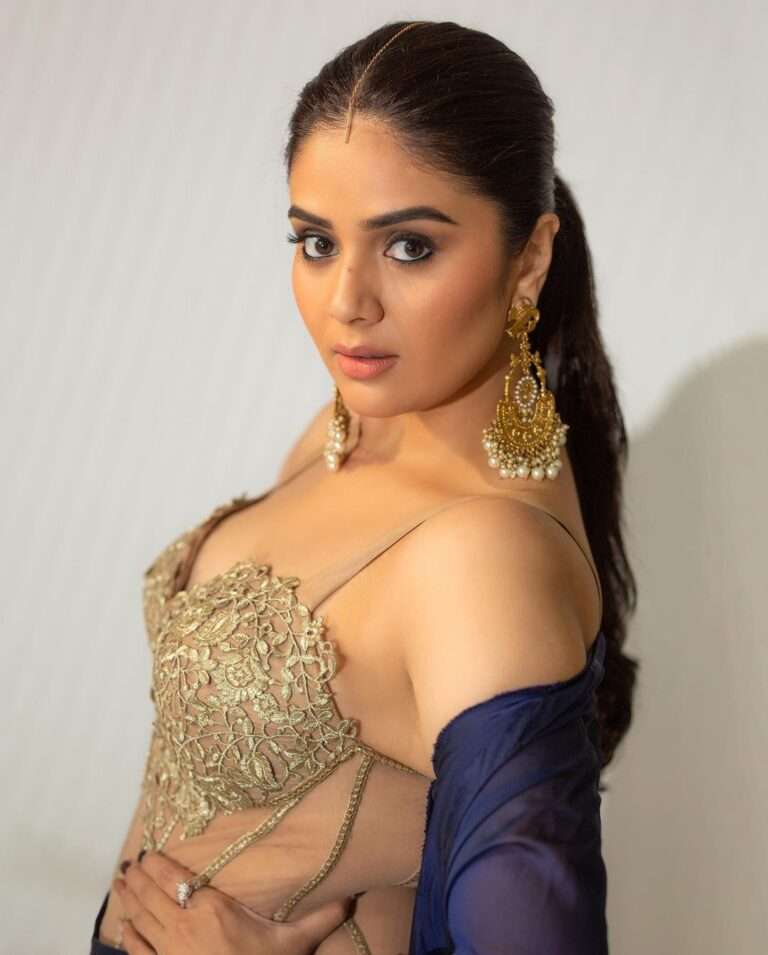 Sreemukhi Amazing Photos (4)