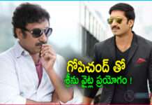Srinu Vaitla Experiment with Gopichand