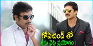 Srinu Vaitla Experiment with Gopichand