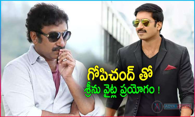 Srinu Vaitla Experiment with Gopichand