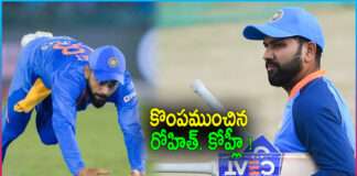 T20 World Cup 2022: India Vs South Africa Highlights