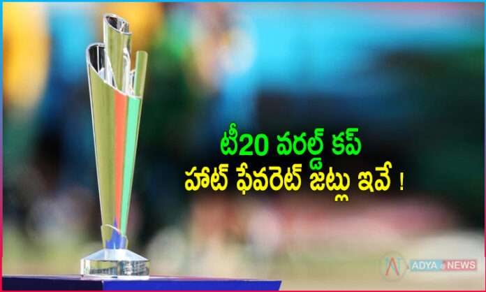 T20 World Cup : Everyone's focus is on those Teams!