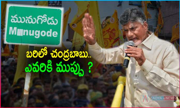 TDP in The Munugodu By Election