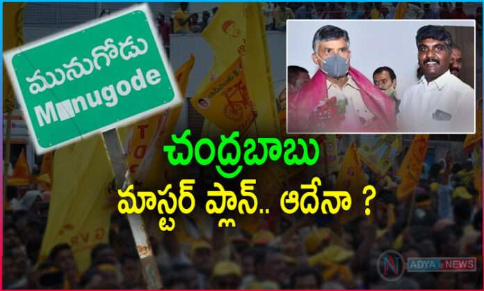 Why TDP left on Munugode By Poll ?