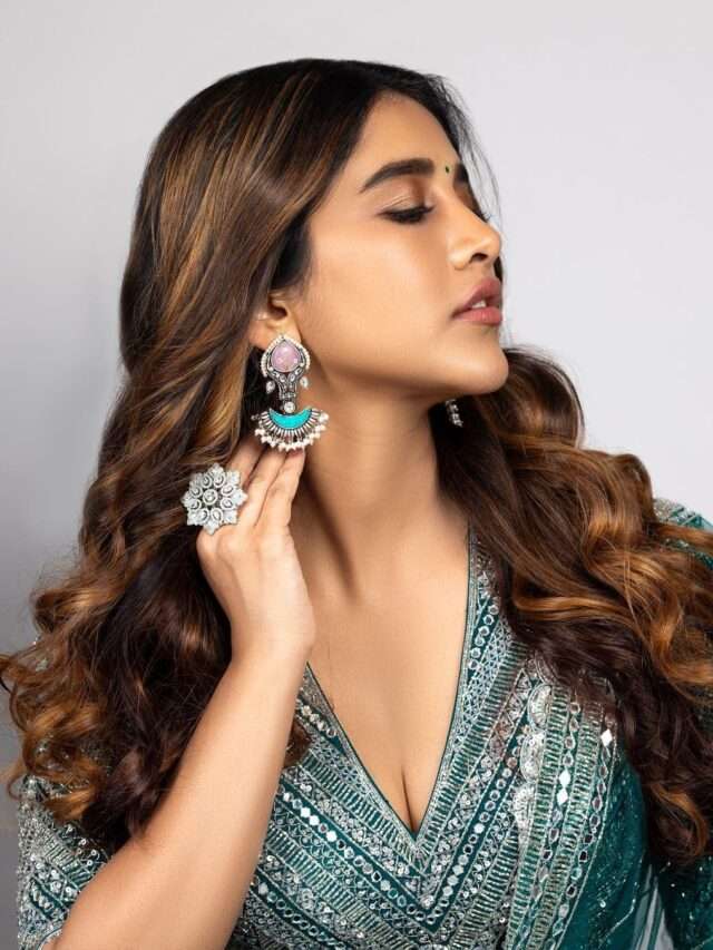 Nabha Natesh Stunning Looks (6)