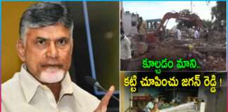 Chandrababu Reaction on Ippatam Village Road Extension Issue