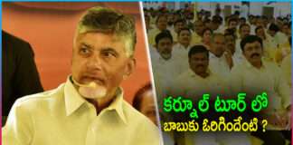 Did Chandrababu Kurnool Tour Gives Mileage to TDP?