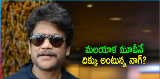 Nagarjuna Next Malayalam Movie Remake