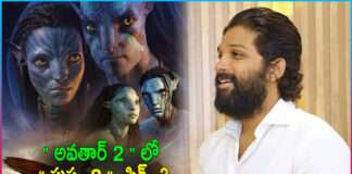 Pushpa Star Allu Arjun Focus on Avatar 2 Release Date
