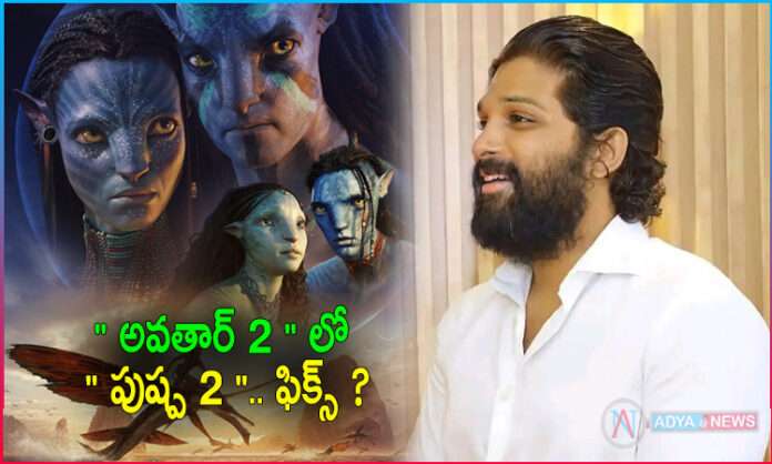 Pushpa Star Allu Arjun Focus on Avatar 2 Release Date