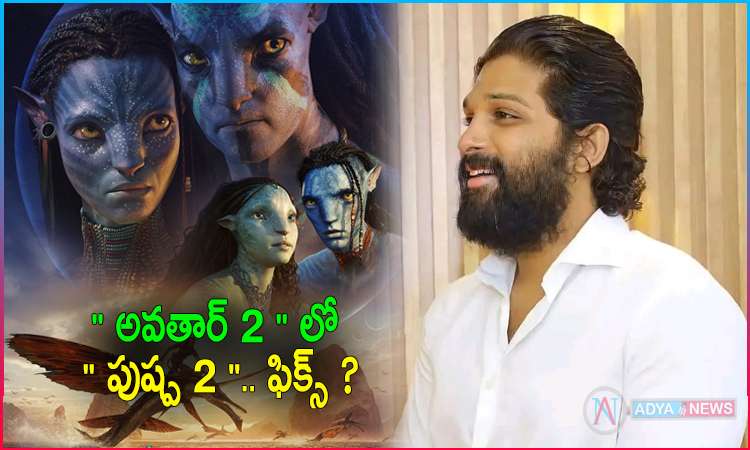 Pushpa Star Allu Arjun Focus on Avatar 2 Release Date