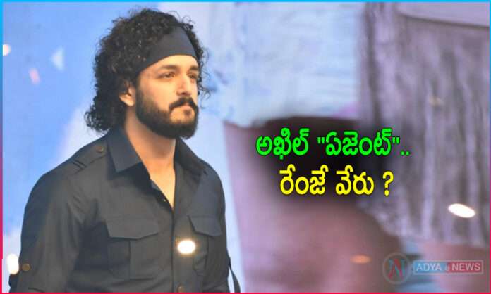 Akkineni Akhil Agent Movie Update