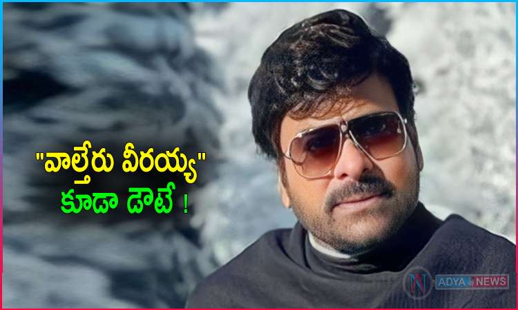Fans Disappointment With Waltair Veerayya Film