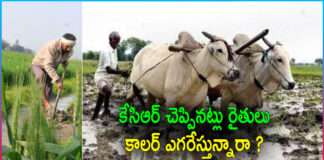 Farmers Really Very Happy in Telangana..?