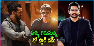 Will Akkineni's Heroes get Stardom?