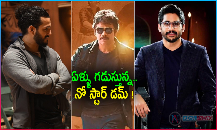 Will Akkineni's Heroes get Stardom?