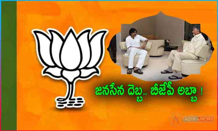 AP BJP In trouble With Jana Sena Political Strategy