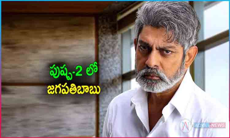 Jagapathi Babu in Allu Arjun's Pushpa 2 Movie