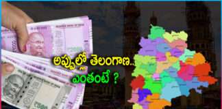 How much is Telangana State in debt?