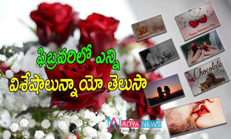 February Special Valentine Week
