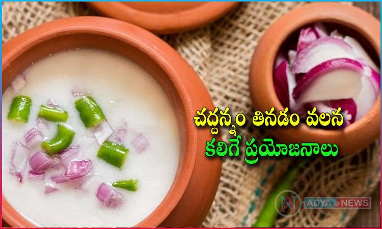 Benefits of eating Chaddannam and curd in the morning