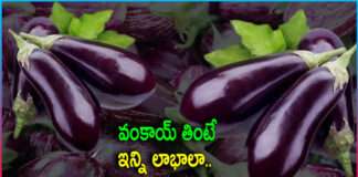 Health Benefits With Brinjal