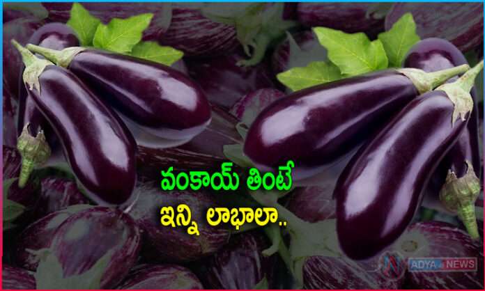 Health Benefits With Brinjal