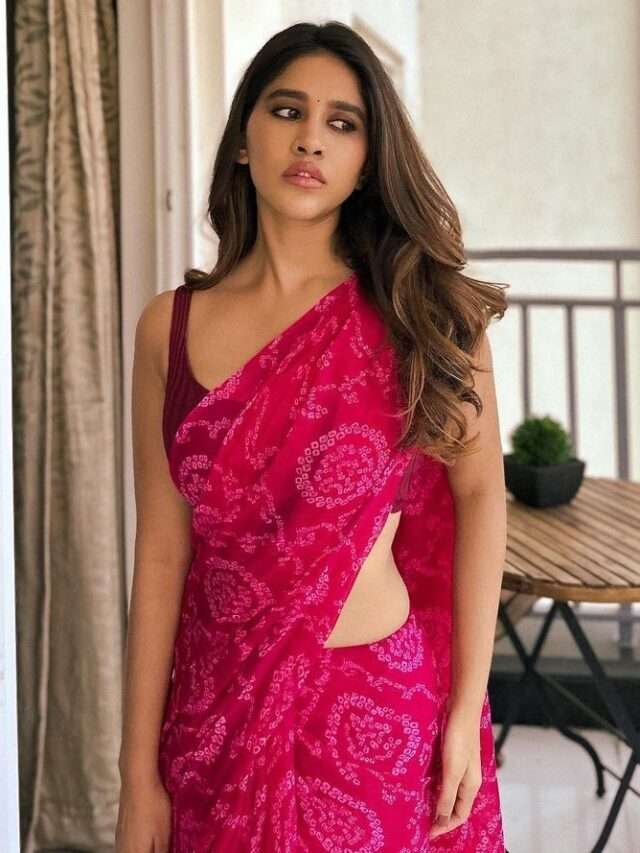 Nabha Natesh Glamour Looks in Pink Saree