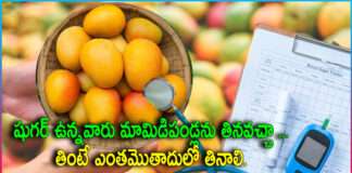Can Daiyabits Eats Mangoes..?