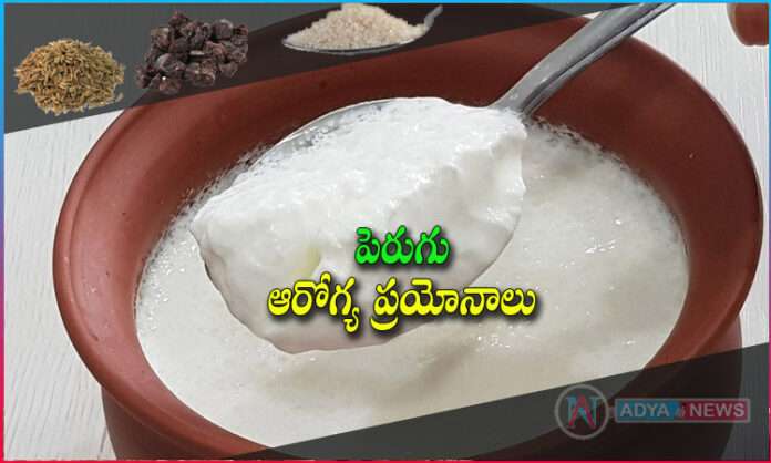 Healthy Benefits With Curd Mixed With These Foods