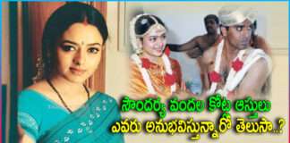 Heroine Soundarya Assets Details