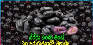 Health Benefit of Jamun Fruit