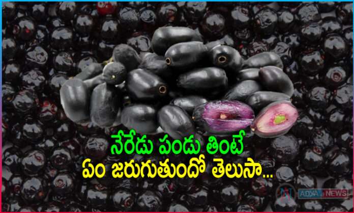 Health Benefit of Jamun Fruit