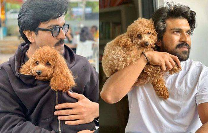 చరణ్ కూతురు కోసం నైట్ డ్యూటీలు చేస్తున్న రైం.. చరణ్ పప్పీ వెరీ రెస్పాన్సిబుల్..!