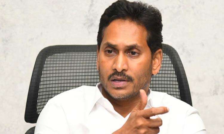 50 శాతం స్థానాలు వారికే..