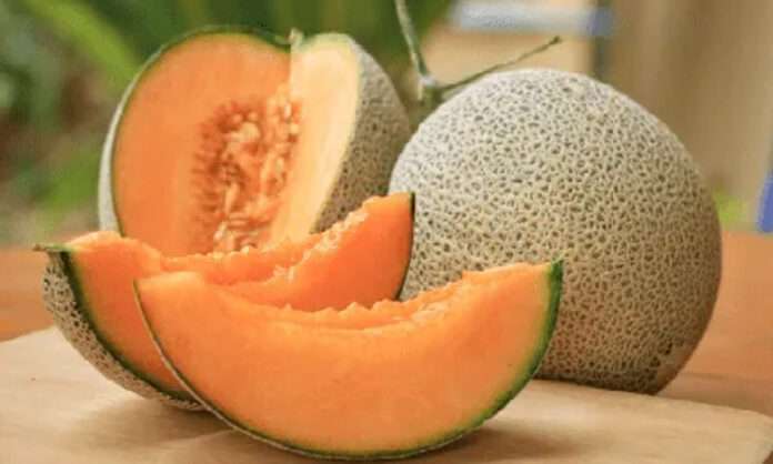 muskmilon