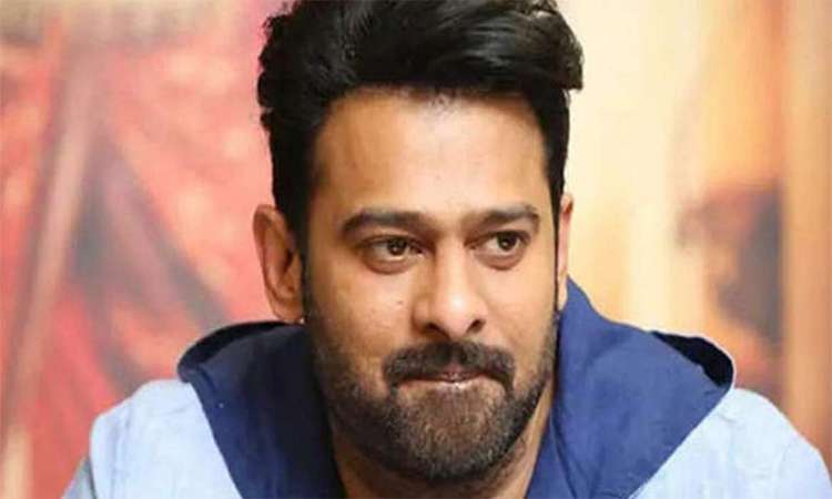 వైసీపీ తరపున ప్రభాస్ ఫ్యాన్స్‌!