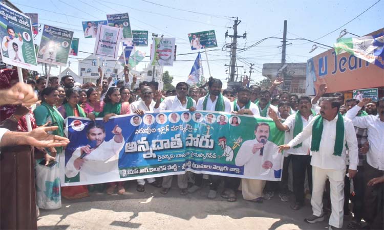 అన్నదాతలకు అండగా వైసీపీ