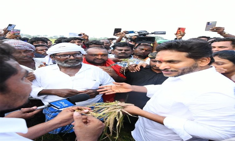 పంట నష్టంపై అంచనా కూడా వేయలేరా!